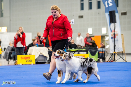 26_NV_BRNO_SO (182) - kopie