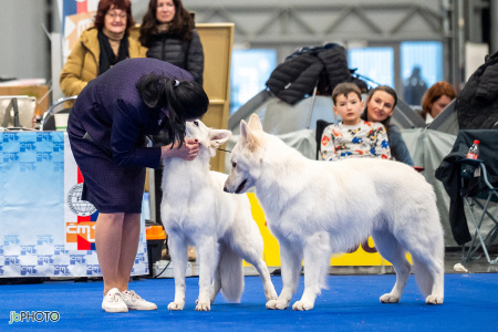 26_NV_BRNO_SO (185) - kopie