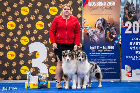 26_NV_BRNO_SO (188) - kopie