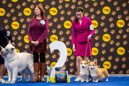 26_NV_BRNO_SO (189) - kopie