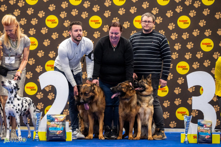 26_NV_BRNO_SO (204) - kopie