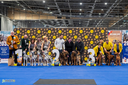 26_NV_BRNO_SO (206) - kopie