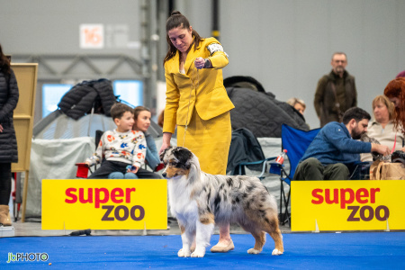 26_NV_BRNO_SO (221) - kopie