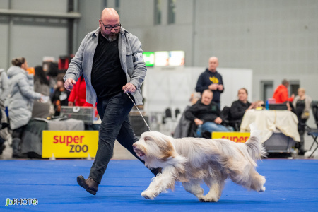 26_NV_BRNO_SO (231) - kopie