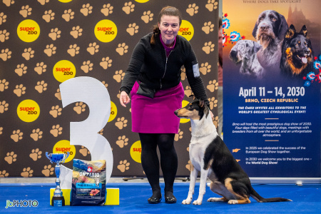 26_NV_BRNO_SO (232) - kopie