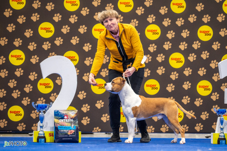 26_NV_BRNO_SO (257) - kopie