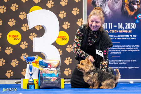 26_NV_BRNO_SO (260) - kopie