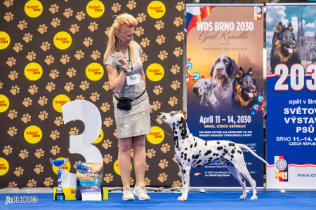 26_NV_BRNO_SO (285) - kopie