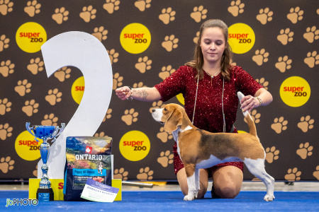 26_NV_BRNO_SO (287) - kopie