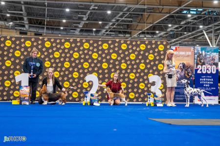 26_NV_BRNO_SO (289) - kopie