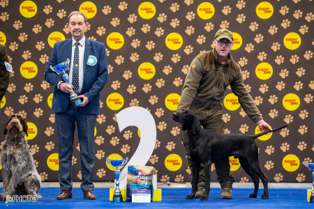 26_NV_BRNO_SO (306) - kopie