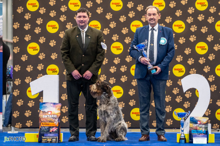 26_NV_BRNO_SO (307) - kopie