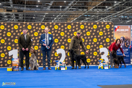 26_NV_BRNO_SO (308) - kopie