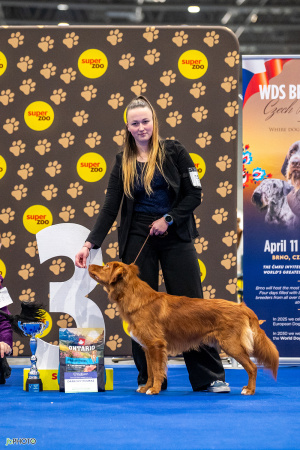 26_NV_BRNO_SO (324) - kopie