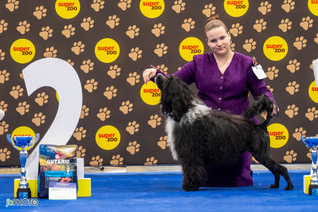 26_NV_BRNO_SO (325) - kopie