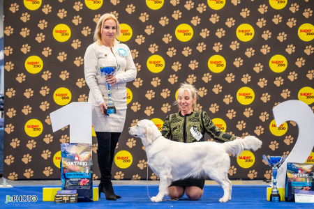 26_NV_BRNO_SO (326) - kopie