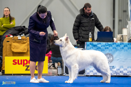 26_NV_BRNO_SO (357) - kopie