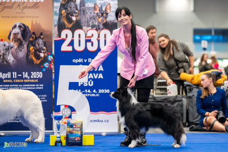 26_NV_BRNO_SO (365) - kopie