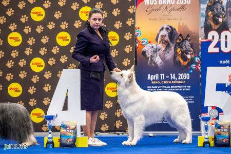 26_NV_BRNO_SO (366) - kopie