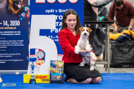 26_NV_BRNO_SO (391) - kopie