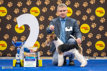 26_NV_BRNO_SO (396) - kopie