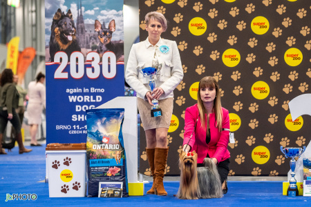 26_NV_BRNO_SO (397) - kopie