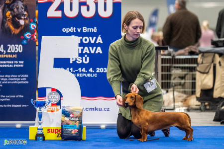 26_NV_BRNO_SO (417) - kopie