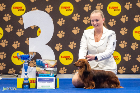 26_NV_BRNO_SO (420) - kopie