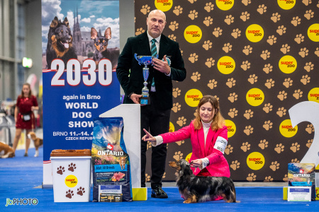 26_NV_BRNO_SO (421) - kopie