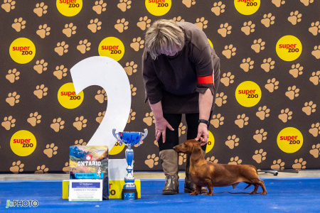 26_NV_BRNO_SO (422) - kopie