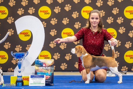 26_NV_BRNO_SO (454) - kopie