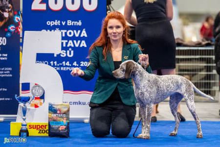 26_NV_BRNO_SO (480) - kopie