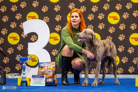 26_NV_BRNO_SO (483) - kopie