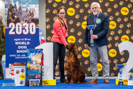 26_NV_BRNO_SO (485) - kopie