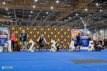 26_NV_BRNO_SO (487) - kopie