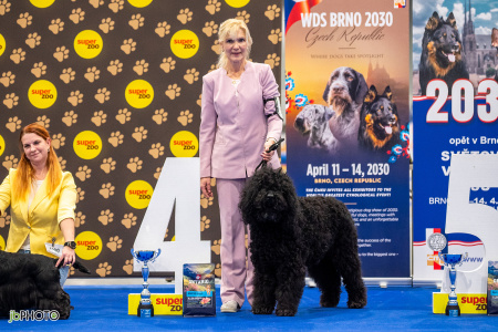 26_NV_BRNO_SO (511) - kopie