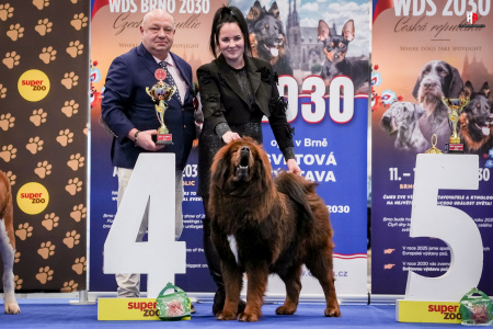 LH104039_hajekphotography.cz