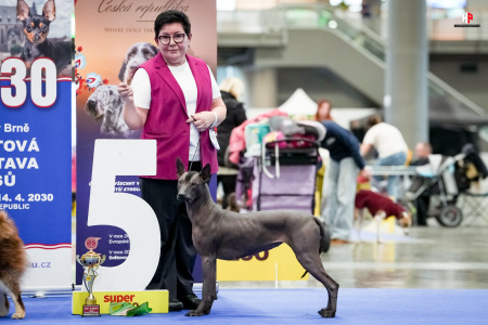 LH104631_hajekphotography.cz