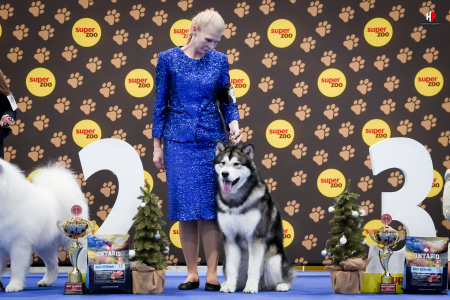 LH104665_hajekphotography.cz