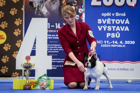 LH104826_hajekphotography.cz