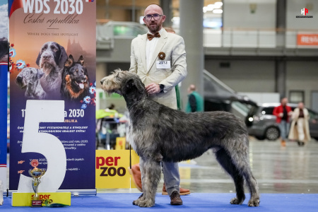 LH105394_hajekphotography.cz