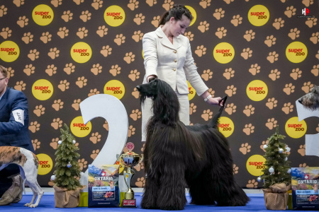 LH105424_hajekphotography.cz