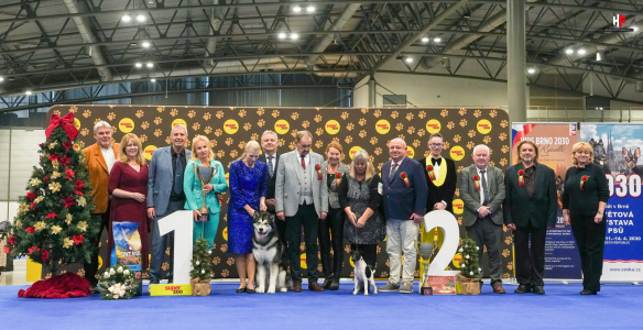 LH207338-Edit_hajekphotography.cz