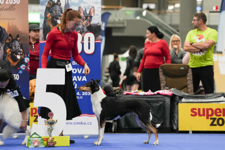 LH102295_hajekphotography.cz