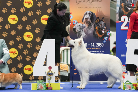 LH102325_hajekphotography.cz