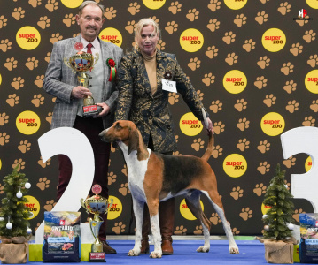 LH103831_hajekphotography.cz