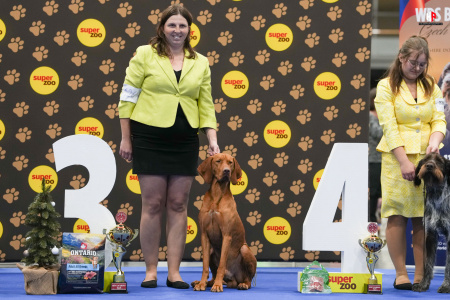 LH104327_hajekphotography.cz