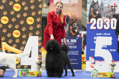 LH104714_hajekphotography.cz