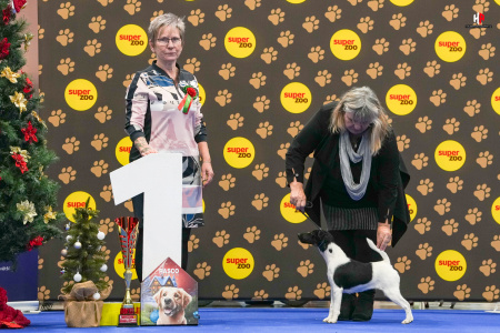 LH100445_hajekphotography.cz