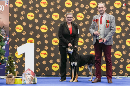 LH100960_hajekphotography.cz